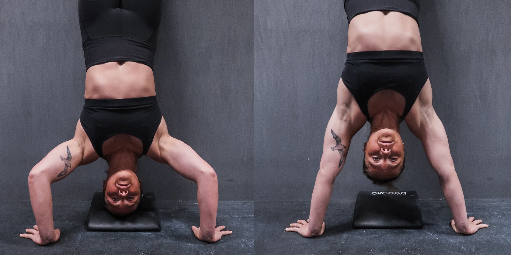 Strikta handstand pushups